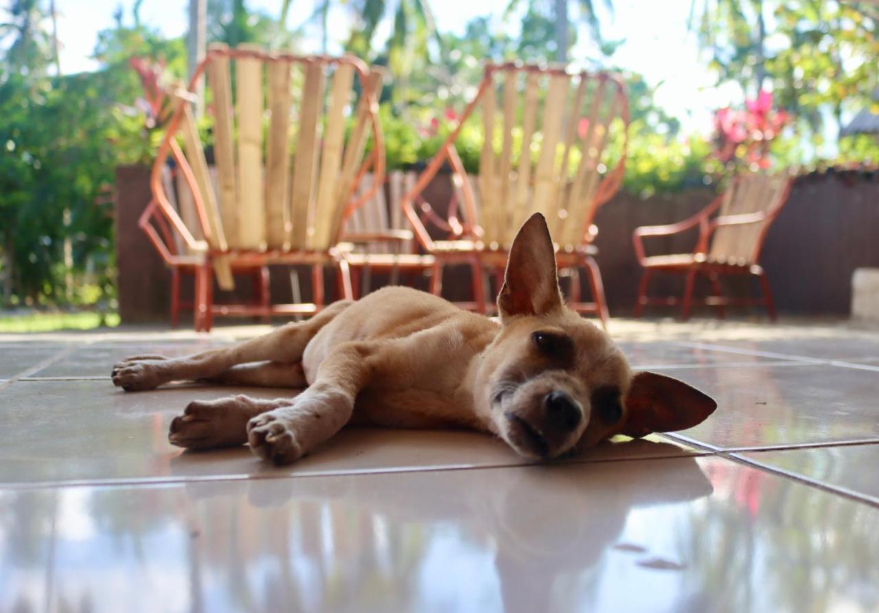 Bohol Hammock Hostel Batuan 외부 사진