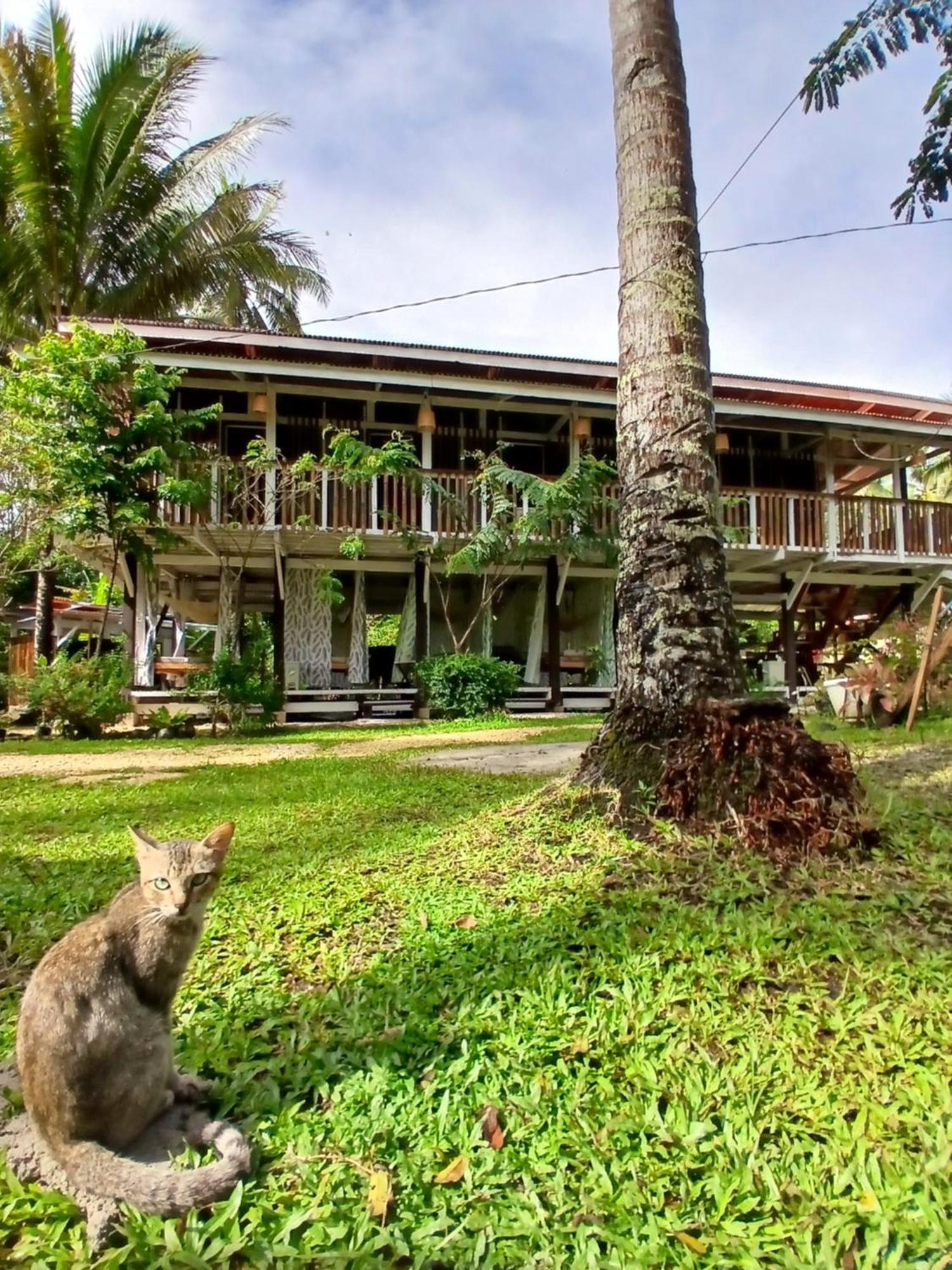Bohol Hammock Hostel Batuan 외부 사진